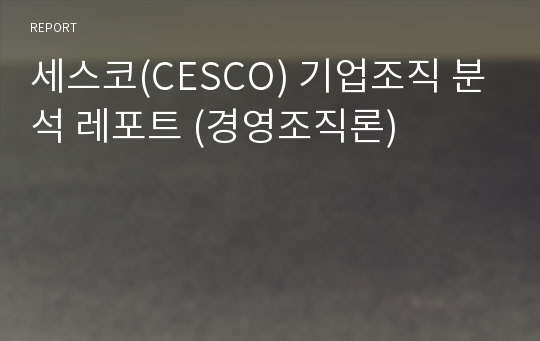 세스코(CESCO) 기업조직 분석 레포트 (경영조직론)