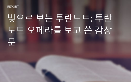 빛으로 보는 투란도트: 투란도트 오페라를 보고 쓴 감상문