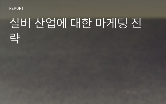 실버 산업에 대한 마케팅 전략