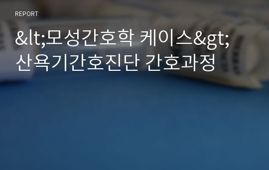 &lt;모성간호학 케이스&gt; 산욕기간호진단 간호과정