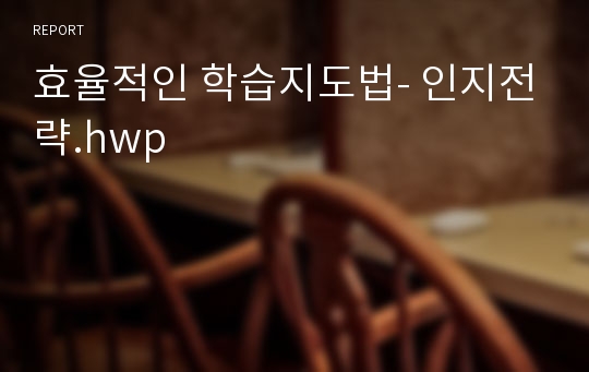 효율적인 학습지도법- 인지전략.hwp