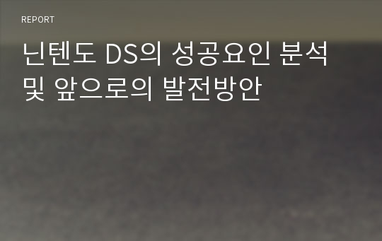 닌텐도 DS의 성공요인 분석 및 앞으로의 발전방안