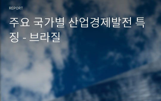 주요 국가별 산업경제발전 특징 - 브라질