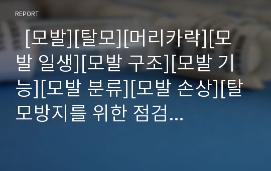   [모발][탈모][머리카락][모발 일생][모발 구조][모발 기능][모발 분류][모발 손상][탈모방지를 위한 점검 목록]모발의 일생, 모발의 구조, 모발의 기능, 모발의 분류, 모발의 손상, 탈모방지를 위한 점검 목록 분석