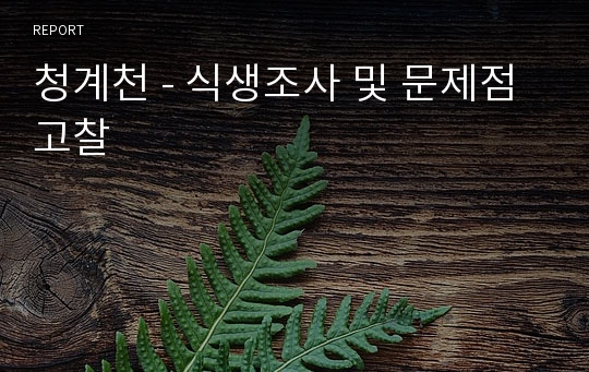 청계천 - 식생조사 및 문제점 고찰