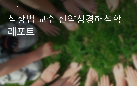 심상법 교수 신약성경해석학 레포트