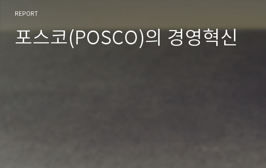 포스코(POSCO)의 경영혁신