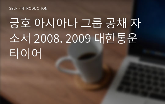 긍호 아시아나 그룹 공채 자소서 2008. 2009 대한통운 타이어