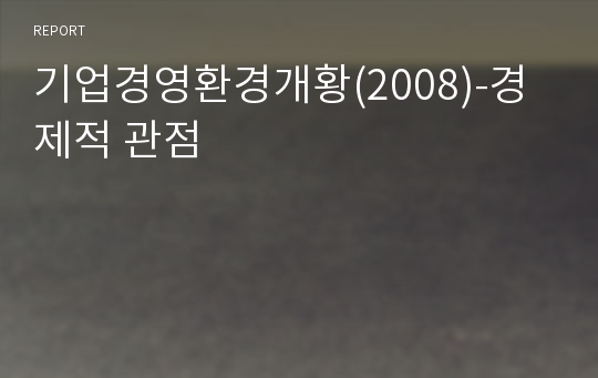 기업경영환경개황(2008)-경제적 관점