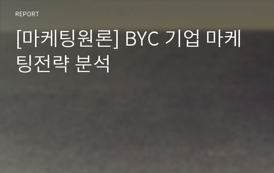 [마케팅원론] BYC 기업 마케팅전략 분석