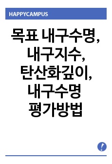 목표 내구수명,내구지수,탄산화깊이,내구수명 평가방법,