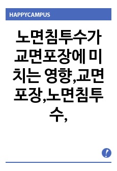 노면침투수가 교면포장에 미치는 영향,교면포장,노면침투수,