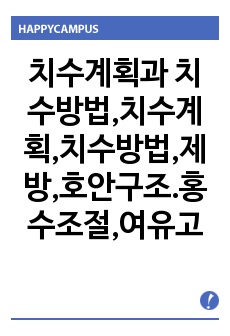 치수계획과 치수방법,치수계획,치수방법,제방,호안구조.홍수조절,여유고