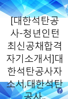 [대한석탄공사-청년인턴최신공채합격자기소개서]대한석탄공사자소서,대한석탄공사자기소개서,대한석탄공사자소서,대한석탄공사자기소개서,대한석탄공사자소서,대한석탄공사