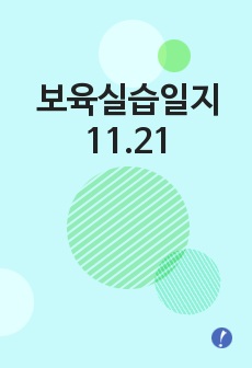 보육실습일지 11.21