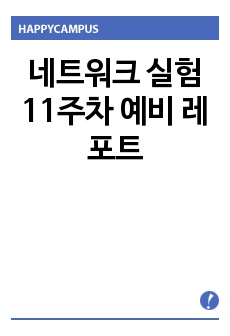 네트워크 실험 11주차 예비 레포트