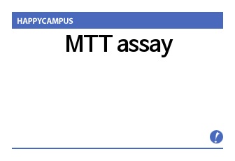 MTT assay