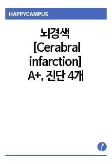 성인간호 뇌경색 case. A+, 뇌경색 간호과정 간호진단 4개, Cerebral infarction(뇌경색) 후회없으실겁니다.