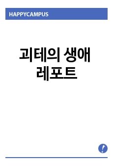 괴테의 생애 레포트