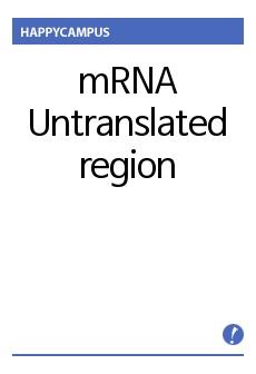 mRNA Untranslated region