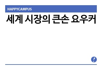 세계 시장의 큰손 요우커