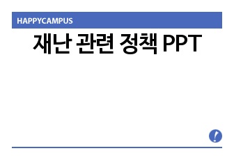 재난 관련 정책 PPT