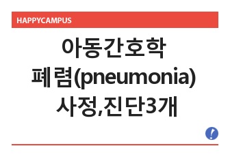 아동간호학  폐렴(pneumonia) 시정,진단3개 (A+받는것 입니다.)