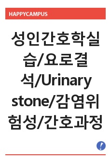 성인간호학실습/요로결석/Urinary stone/감염위험성/간호과정