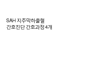 SAH 지주막하출혈 간호진단 간호과정