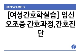 [여성간호학실습] 임신오조증 간호과정,간호진단