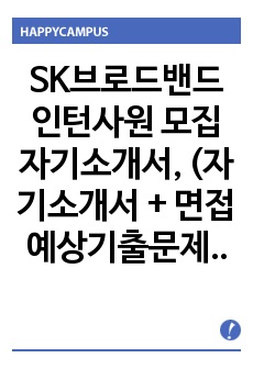 SK브로드밴드 인턴사원 모집 자기소개서