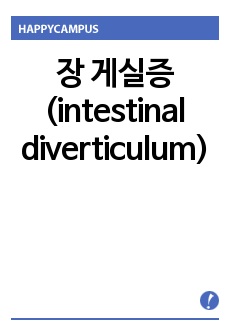 장 게실증(intestinal diverticulum)