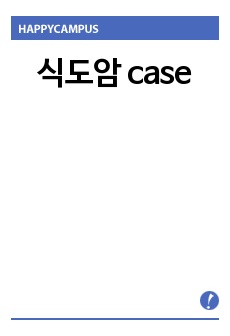 식도암 case