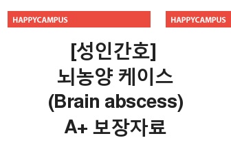 [성인간호] 뇌농양(Brain abscess) 케이스스터디 A+ 보장자료