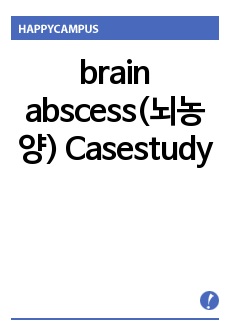 brain abscess(뇌농양) Casestudy