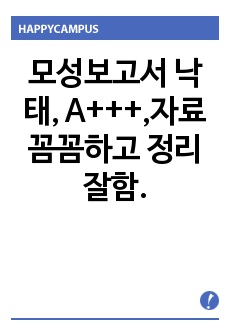 모성보고서 낙태