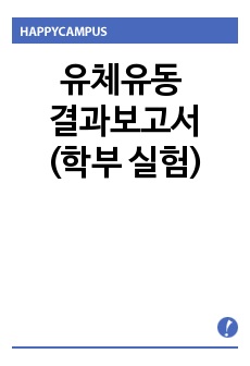 유체유동 결과보고서(학부 실험)