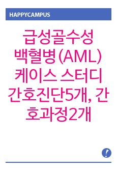 급성골수성백혈병(AML)케이스 스터디 간호진단5개, 간호과정2개