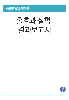 홀효과 실험 결과보고서