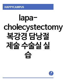 lapa-cholecystectomy 복강경 담낭절제술 수술실 실습