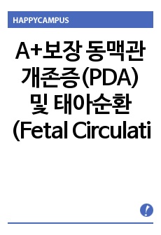 A+보장 동맥관 개존증(PDA) 및 태아순환(Fetal Circulation) 문헌고찰 사전학습