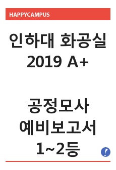 [2019 A+ 인하대 화학공학실험] 공정모사 예비보고서 화공실 예보