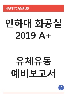 [2019 A+ 인하대 화학공학실험] 유체유동 예비보고서 화공실 예보