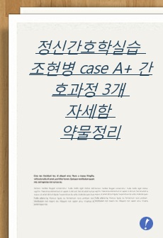 정신간호 조현병 정신분열병 case A+ 간호과정 3개 자세함 약물정리