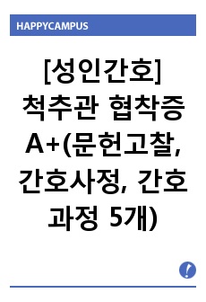 [성인간호]  척추관 협착증 A++(문헌고찰, 간호사정, 간호과정 5개)