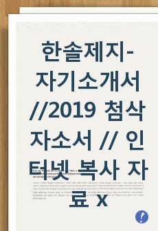 한솔제지- 자기소개서 //2019 첨삭자소서 // 인터넷 복사 자료 x // 진심으로 많은 도움이 되셨으면 좋겠습니다.