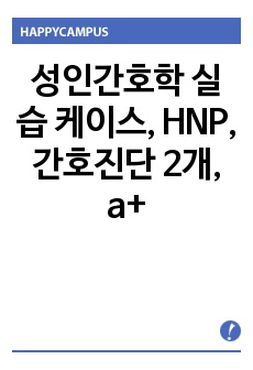 성인간호학 실습 케이스, HNP, 간호진단 2개, a+