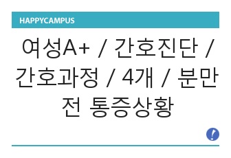 여성A+ / 간호진단 / 간호과정 / 4개 / 분만전 통증상황