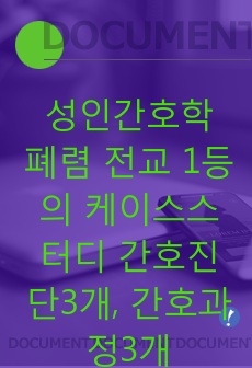 성인간호학 폐렴(pneumonia) 전교 1등의 케이스스터디 간호진단3개, 간호과정3개