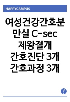 여성건강간호학 분만실 제왕절개 C-sec CASE STUDY 간호진단 2개 간호과정 2개